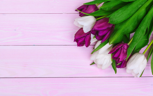 1694877 (a): :2560x1600